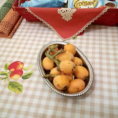 Gospodarstwo wiejskie Casa Bianca Da Giusy *